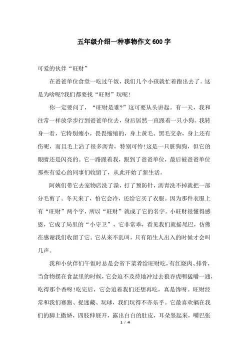 五年级介绍一种事物作文600字