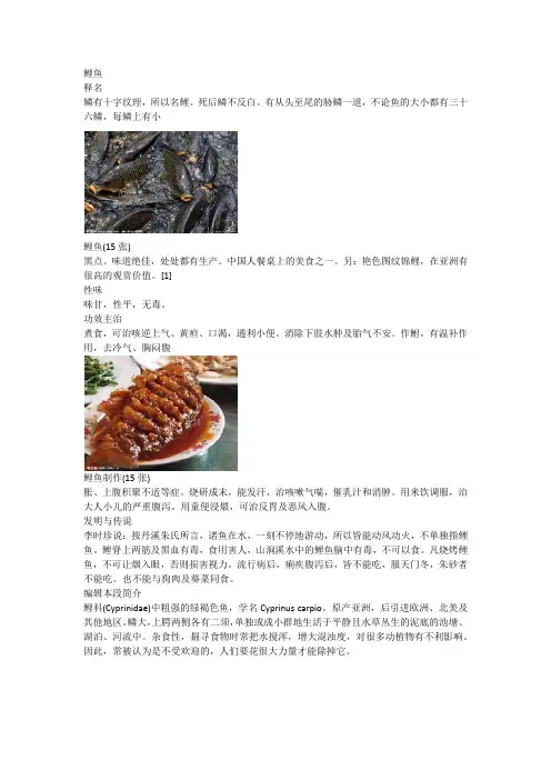 鲤鱼-百科