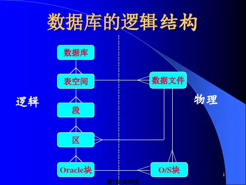 数据库的逻辑结构