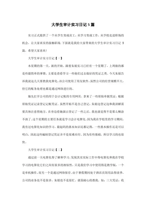 大学生审计实习日记5篇