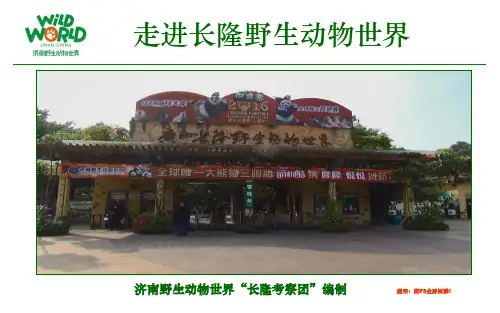 走进长隆野生动物世界资料
