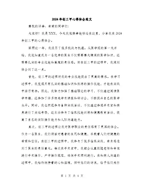 2024年创三甲心得体会范文(二篇)