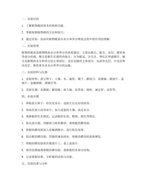 《植物的根》实验报告