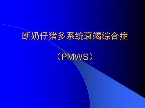 断奶仔猪多系统衰竭综合症