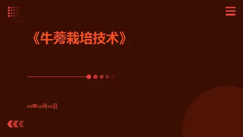 牛蒡栽培技术