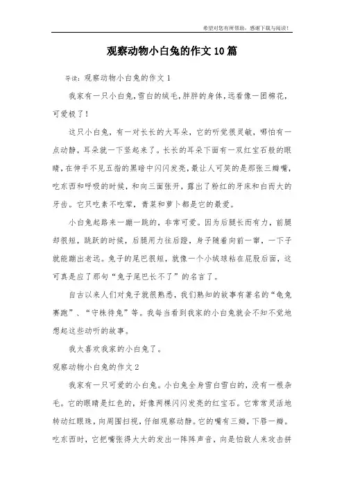 观察动物小白兔的作文10篇