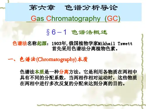 仪器分析学习课件 第6章 色谱法导论-气相色谱精品文档