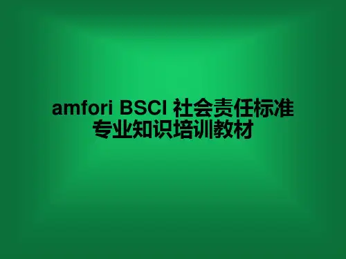 amfori BSCI 社会责任标准专业知识培训教材