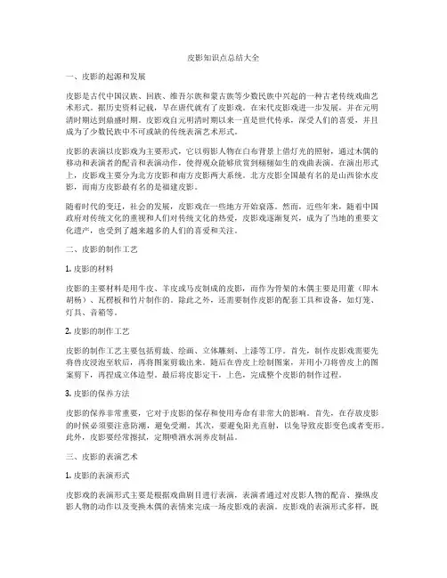 皮影知识点总结大全