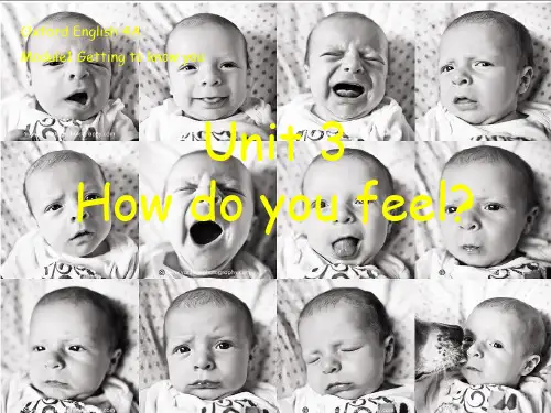 牛津上海版(试用本)英语四年级上册Module 1 Unit 3 How do you feel课件