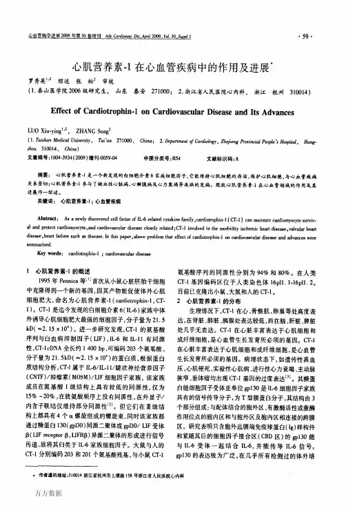 心肌营养素-1在心血管疾病中的作用及进展
