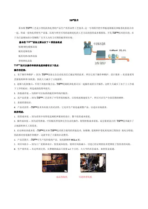 蒂本斯TSP技术