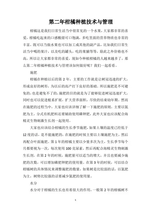 第二年柑橘种植技术与管理