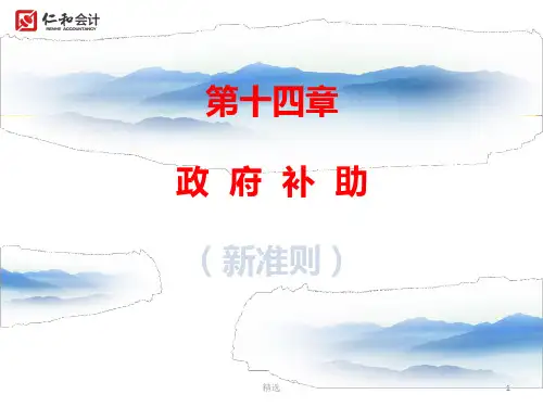 新版第十四章政府补助(新准则)课件.ppt