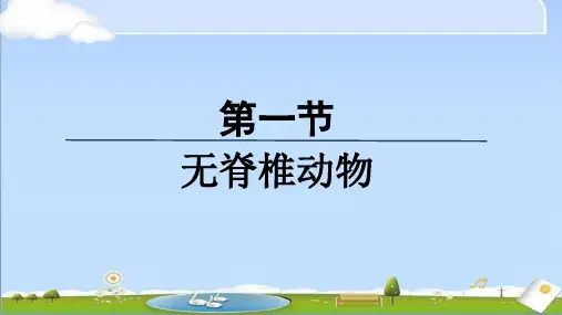 2024年新人教版七年级上册生物课件 第二单元第二章第一节