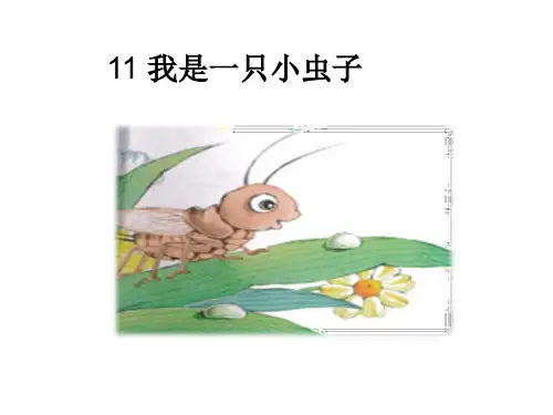 人教部编版 二年级下册语文《11 我是一只小虫子 》 (57)