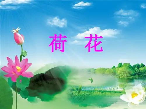 苏教版三年级语文下册《荷花》课件