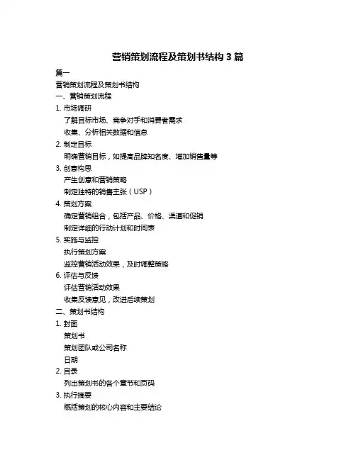 营销策划流程及策划书结构3篇