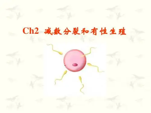 减数分裂和有性生殖