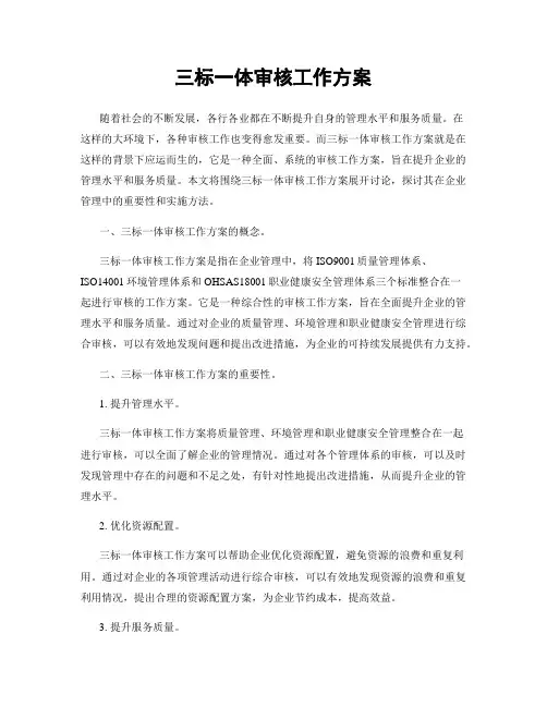 三标一体审核工作方案