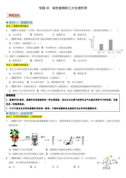 备战2024年中考生物真题题型专项九 绿色植物的三大生理作用(含解析)