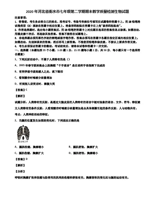 2020年河北省衡水市七年级第二学期期末教学质量检测生物试题含解析