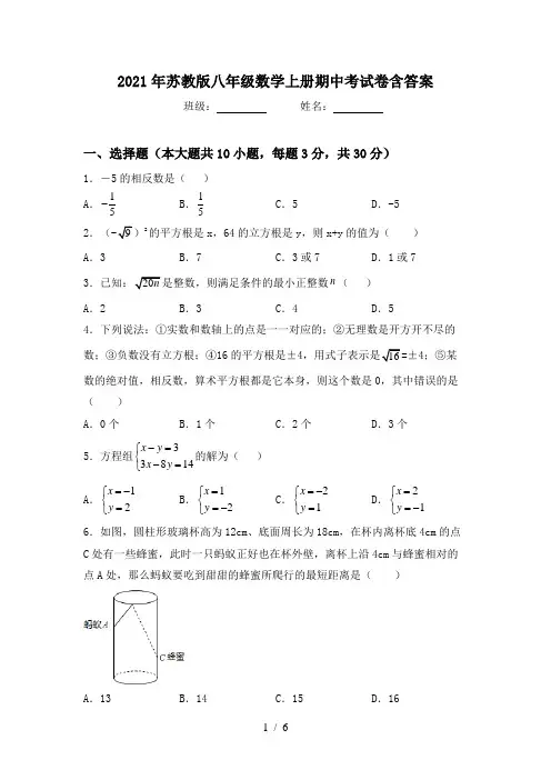 2021年苏教版八年级数学上册期中考试卷含答案