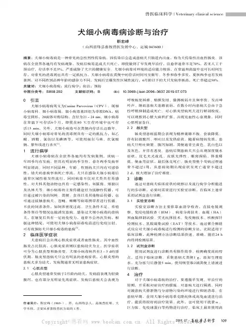 犬细小病毒病诊断与治疗