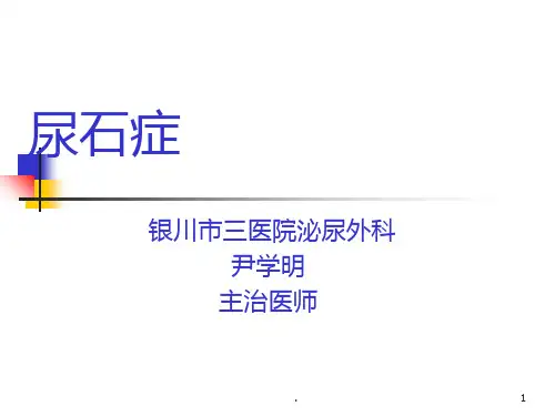泌尿系结石PPT课件