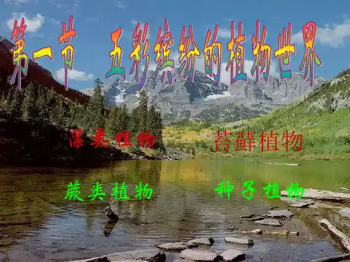 第一节五彩缤纷的植物世界课件(共41张PPT)