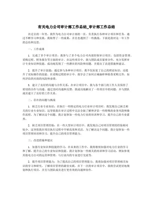 有关电力公司审计部工作总结_审计部工作总结