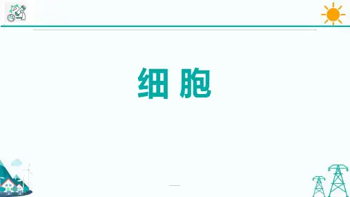 《细胞》PPT教学课件