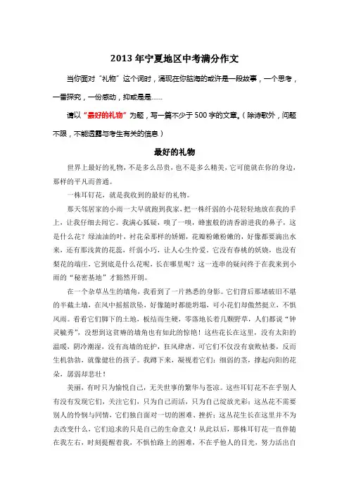 2013年宁夏地区中考满分作文《最好的礼物》8