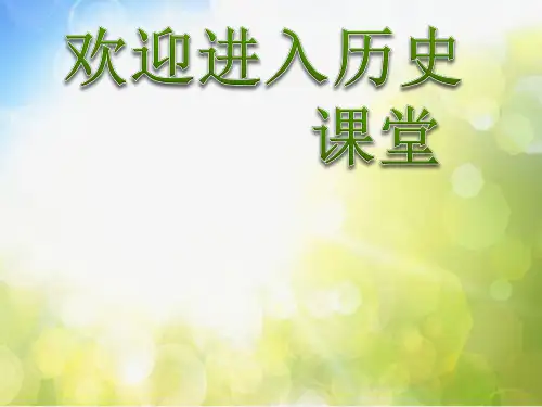 高考历史一轮复习(人教版)精品课件第23讲