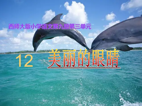 12课《美丽的眼睛》课件PPT
