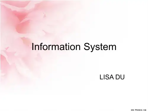 information system(信息系统)