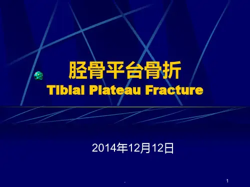 胫骨平台骨折)PPT课件