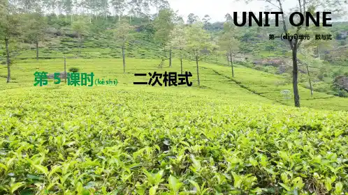 中考数学二轮复习 第一章 数与式 第5课时 二次根式课件初中九年级全册数学课件