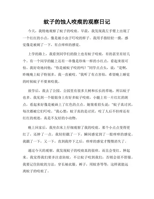 小学三年级作文蚊子的蚀人咬痕的观察日记