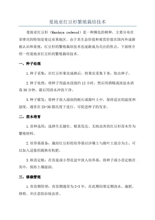 曼地亚红豆杉繁殖栽培技术