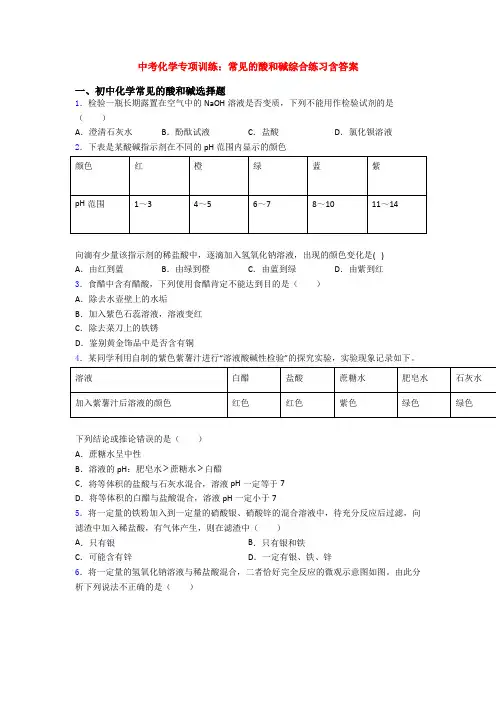 中考化学专项训练：常见的酸和碱综合练习含答案