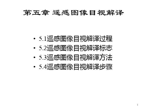 5 遥感影像目视解译