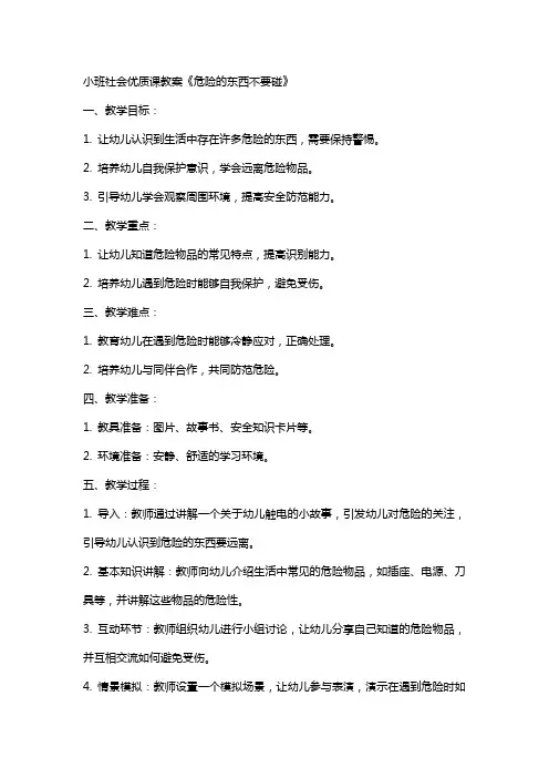 小班社会课教案《危险的东西不要碰》