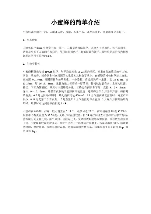 小蜜蜂的简单介绍