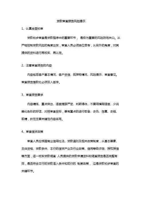 贷款审查报告风险提示