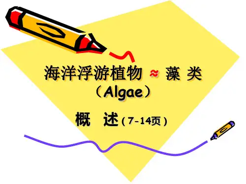 浮游植物概述