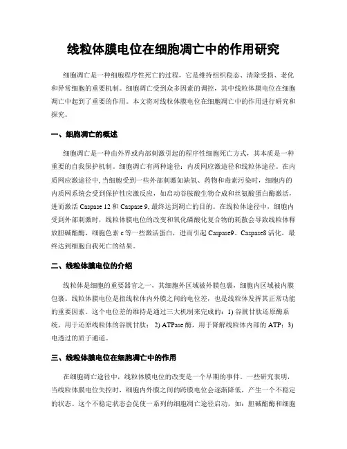 线粒体膜电位在细胞凋亡中的作用研究