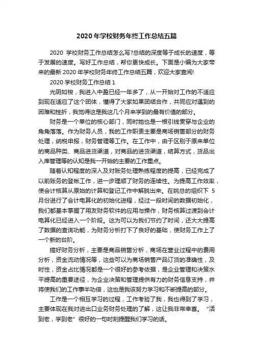 2020年学校财务年终工作总结五篇