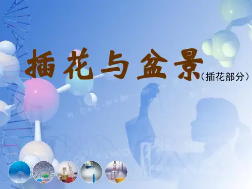 插花与盆景 第一章 插花基础知识