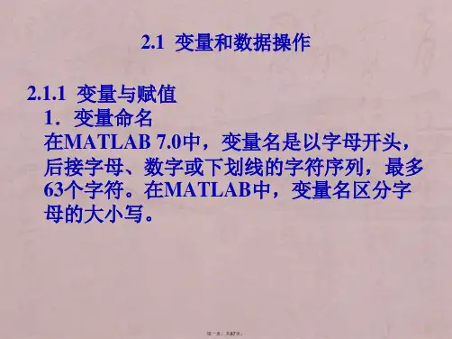 第2章  MATLAB赋值、矩阵及其运算